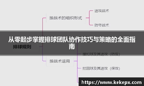 OB电竞官网