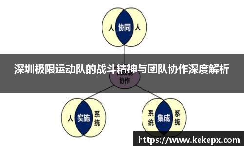 OB电竞首页